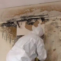 mold remediation